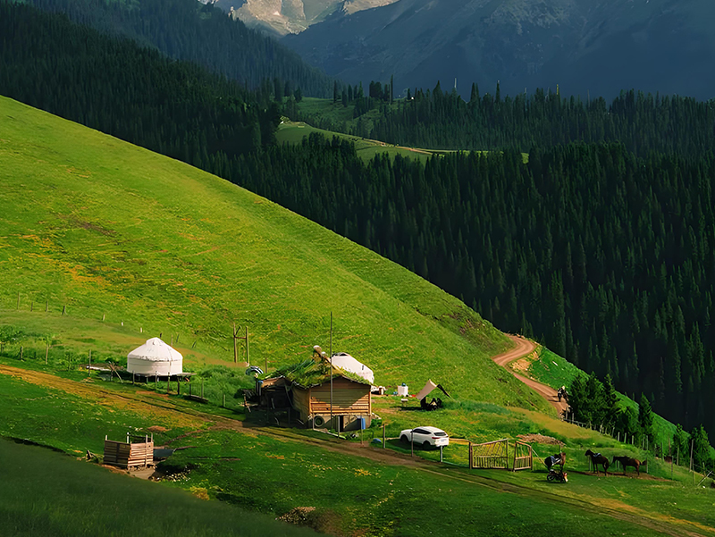 1742785568144371.jpg 未标题-1111.jpg